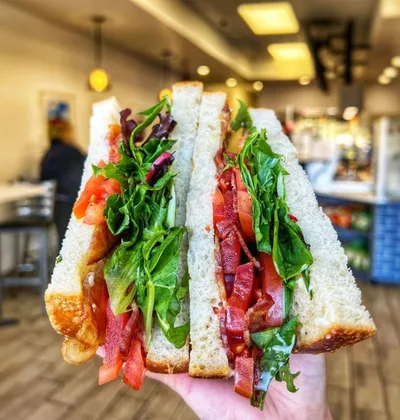 Sourdough bread, garlic aioli, mayo, thick-cut bacon, tomatoes, spring mix